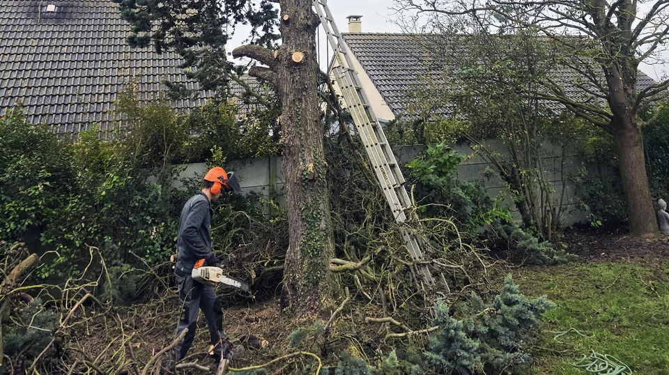 Cette situation révèle une erreur de contenu : il ne devrait pas y avoir de section sur l'élagage et l'abattage d'arbres pour Max Bati Services. Si une section sur l'aménagement extérieur est nécessaire, elle devrait illustrer des travaux de terrasse, clôture, dallage ou créations paysagères cohérents avec les domaines d'intervention de l'entreprise (utiliser les images market et real disponibles relatives aux terrasses et aménagements extérieurs).